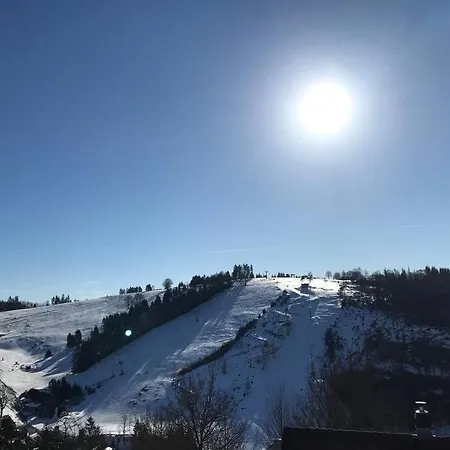 Lägenhet Harzchalet Emma 2 Sankt Andreasberg